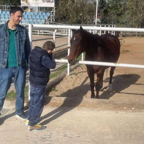 Επίσκεψη του δεύτερου τμήματος του Ειδικού Σχολείου Πεντέλης στον Σύνδεσμο Θεραπευτικής Ιππασίας Ελλάδας